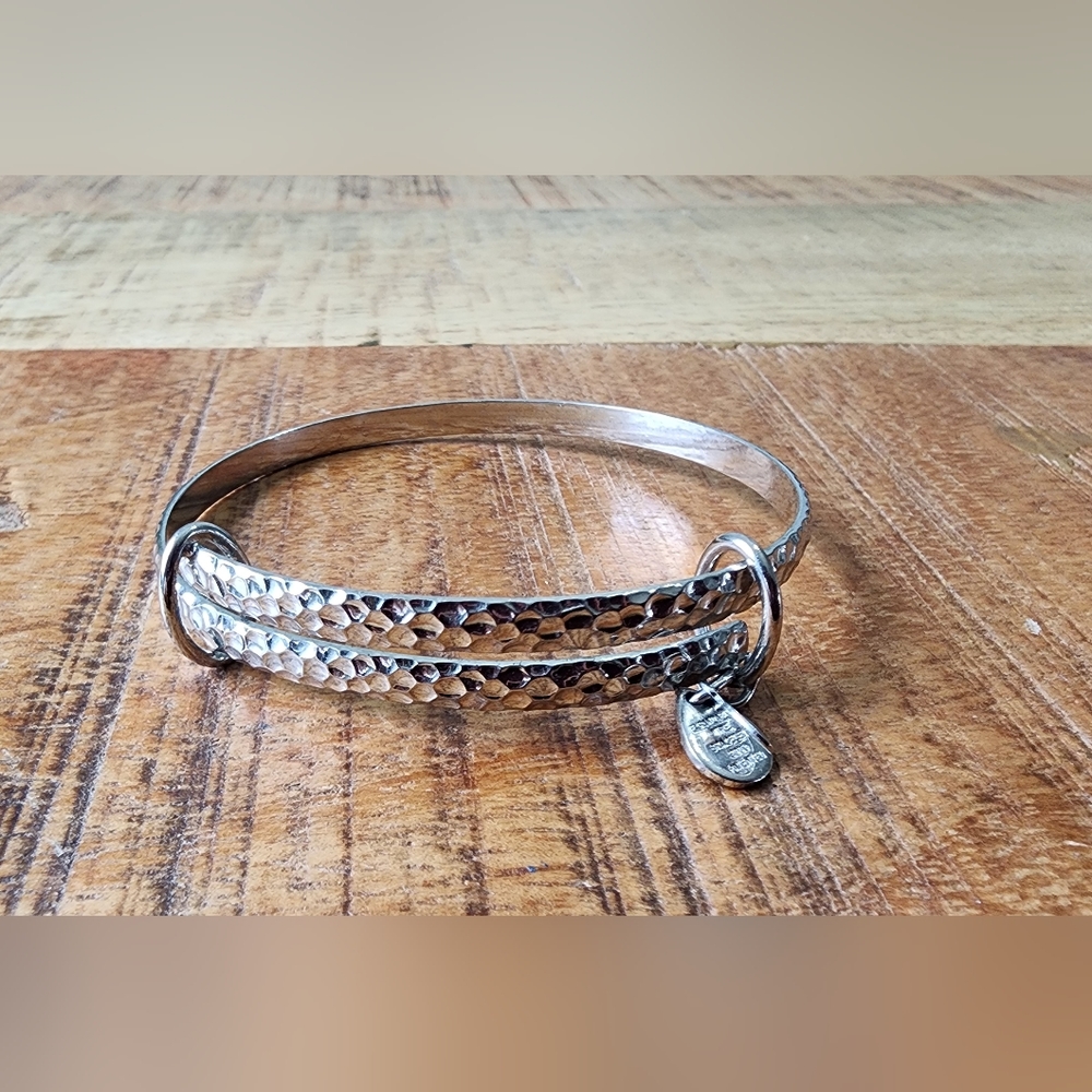 Alex & Ani bangle bracelet